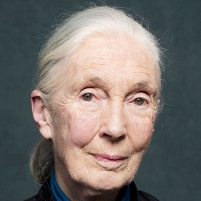 Jane Goodall
