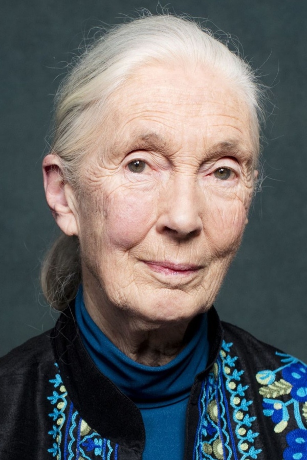 Jane Goodall